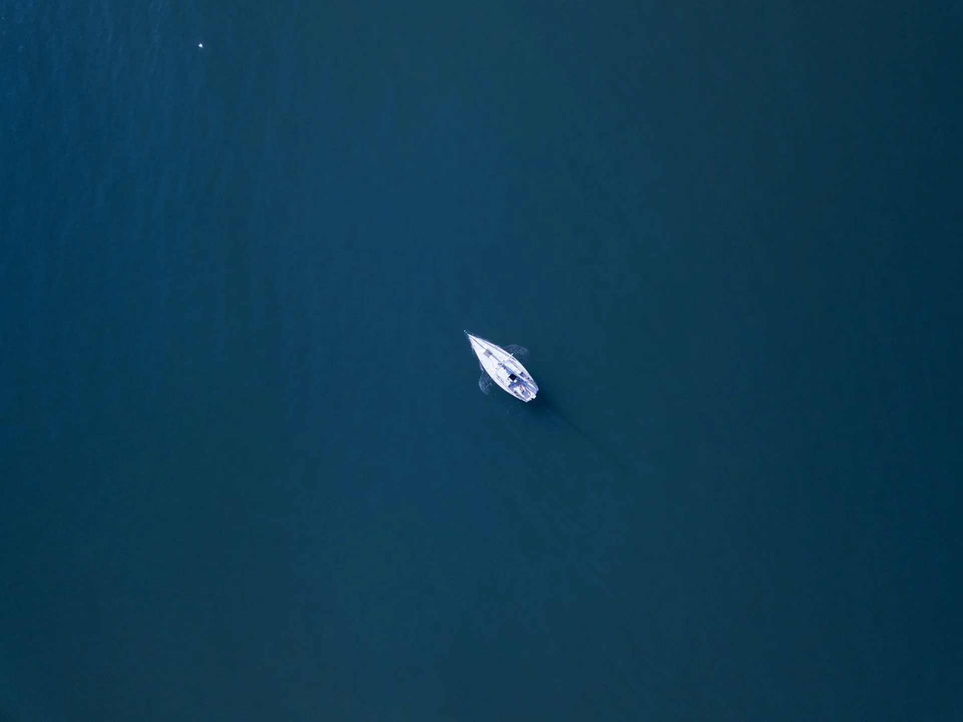 Segelboot auf dem Wasser